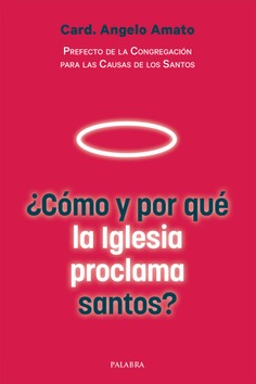¿Cómo y por qué la Iglesia proclama santos?
